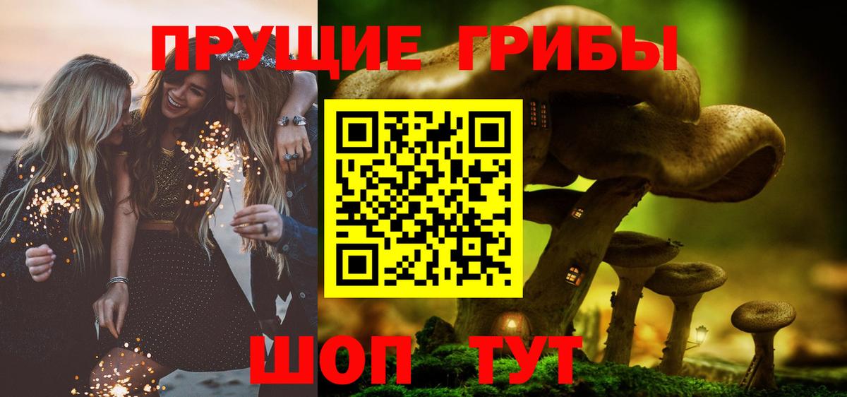 Галлюциногенные грибы Psilocybine cubensis  Вход с VPN  Барабинск 