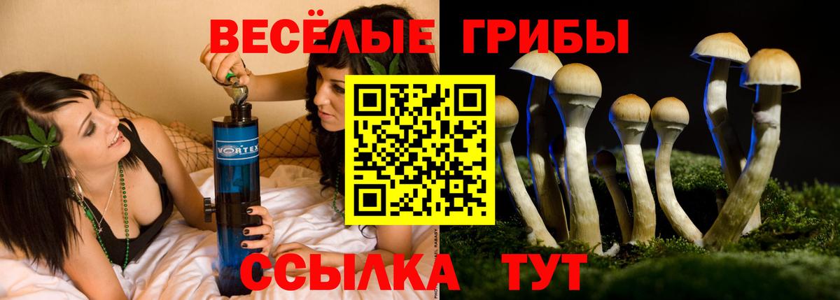 Псилоцибиновые грибы мухоморы Барабинск